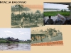 20-plantacja-basongo-1935-2011