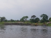 6-zapomniana-plantacja