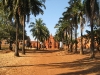 aleja-katedralna